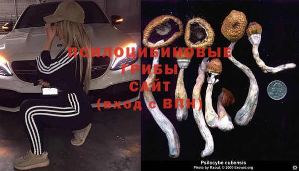 спиды Балабаново