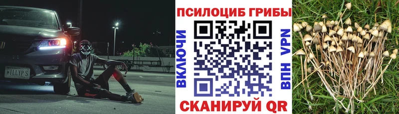 Галлюциногенные грибы Cubensis  цена   Электросталь 